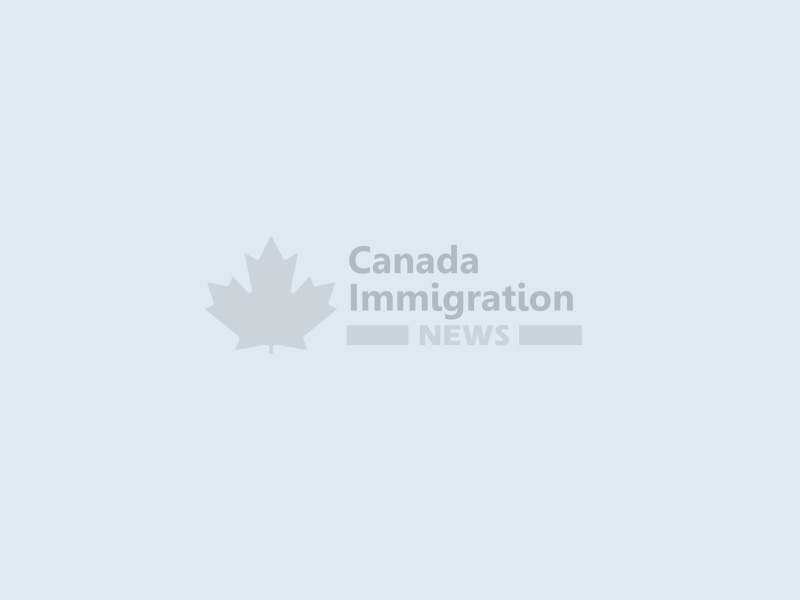 Settlement Services Provided to Newcomers in Canada